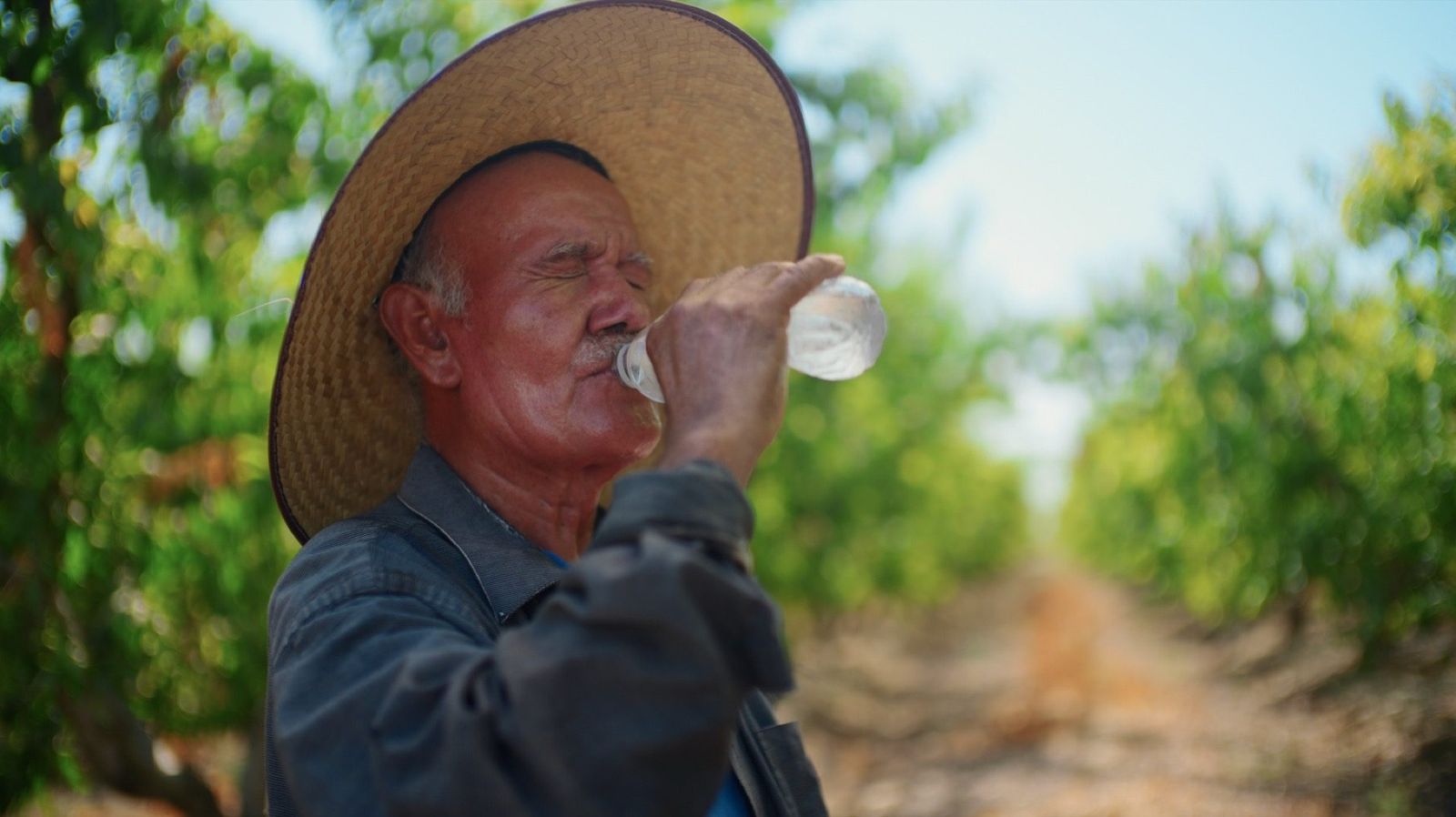 Water break in the orchard — Celebration Nation