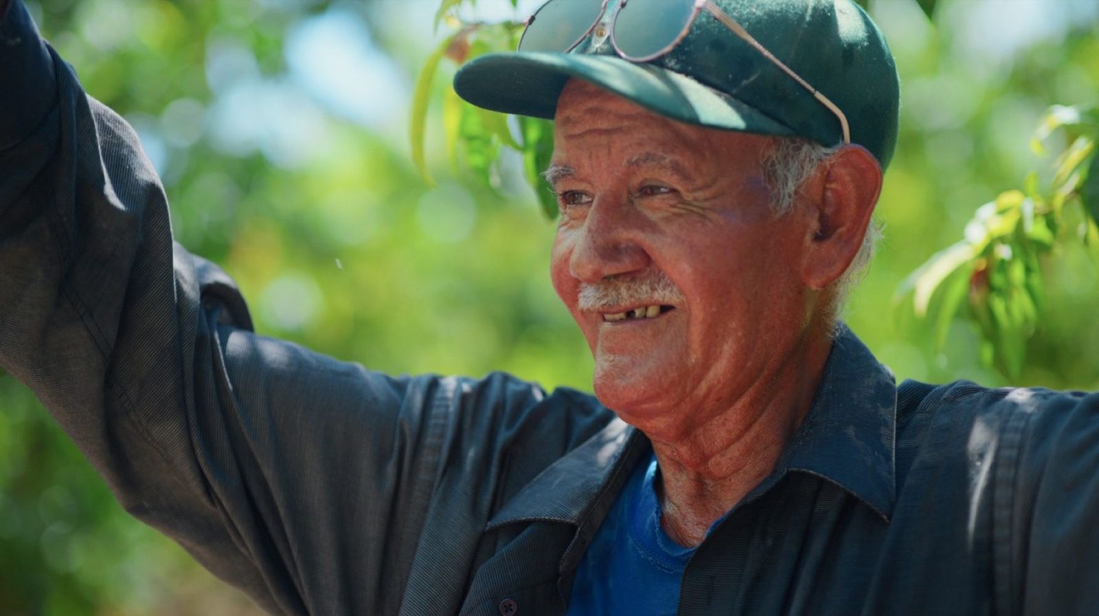 Smiling farmer at harvest — Celebration Nation