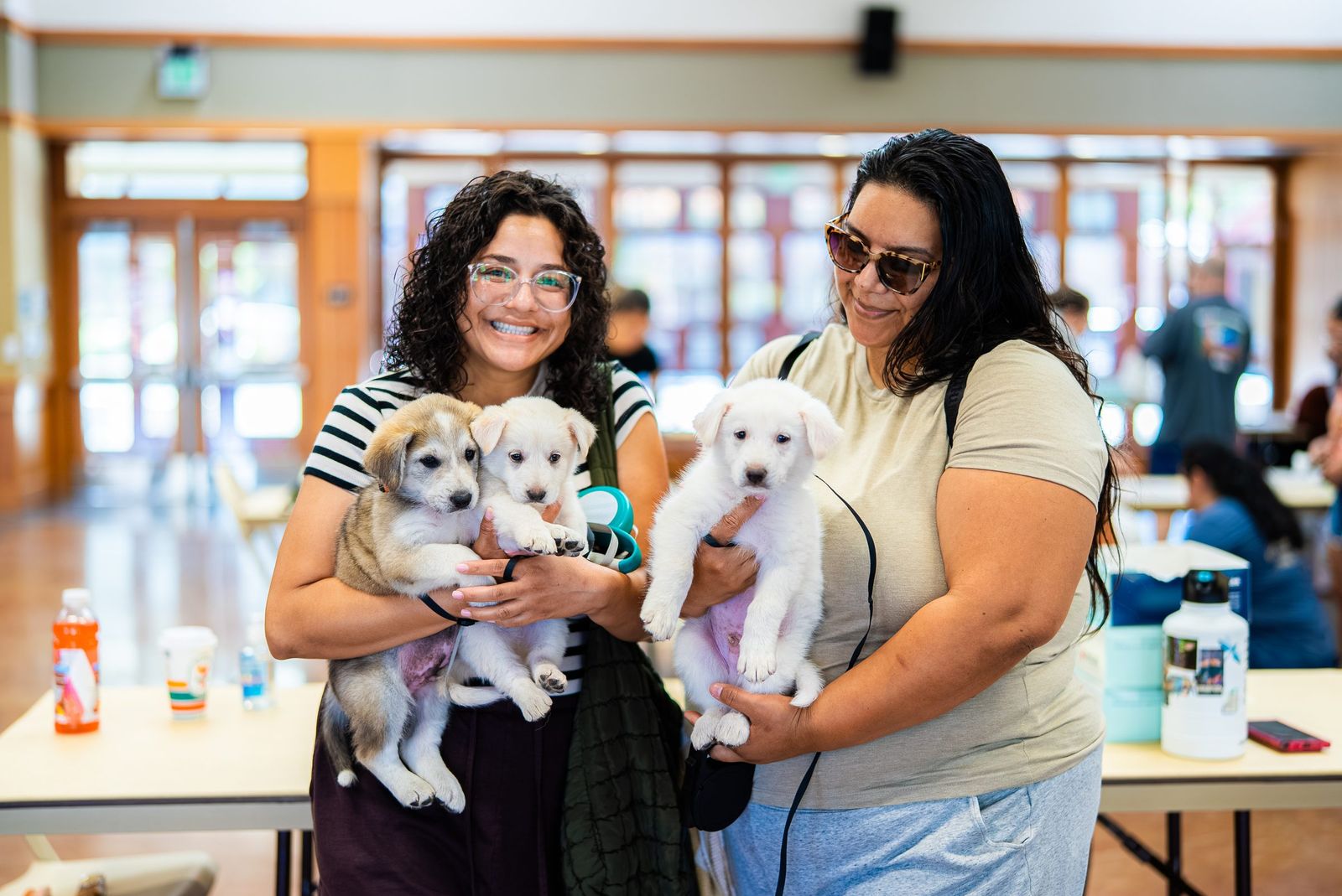 Holding rescue puppies — City of Los Banos
