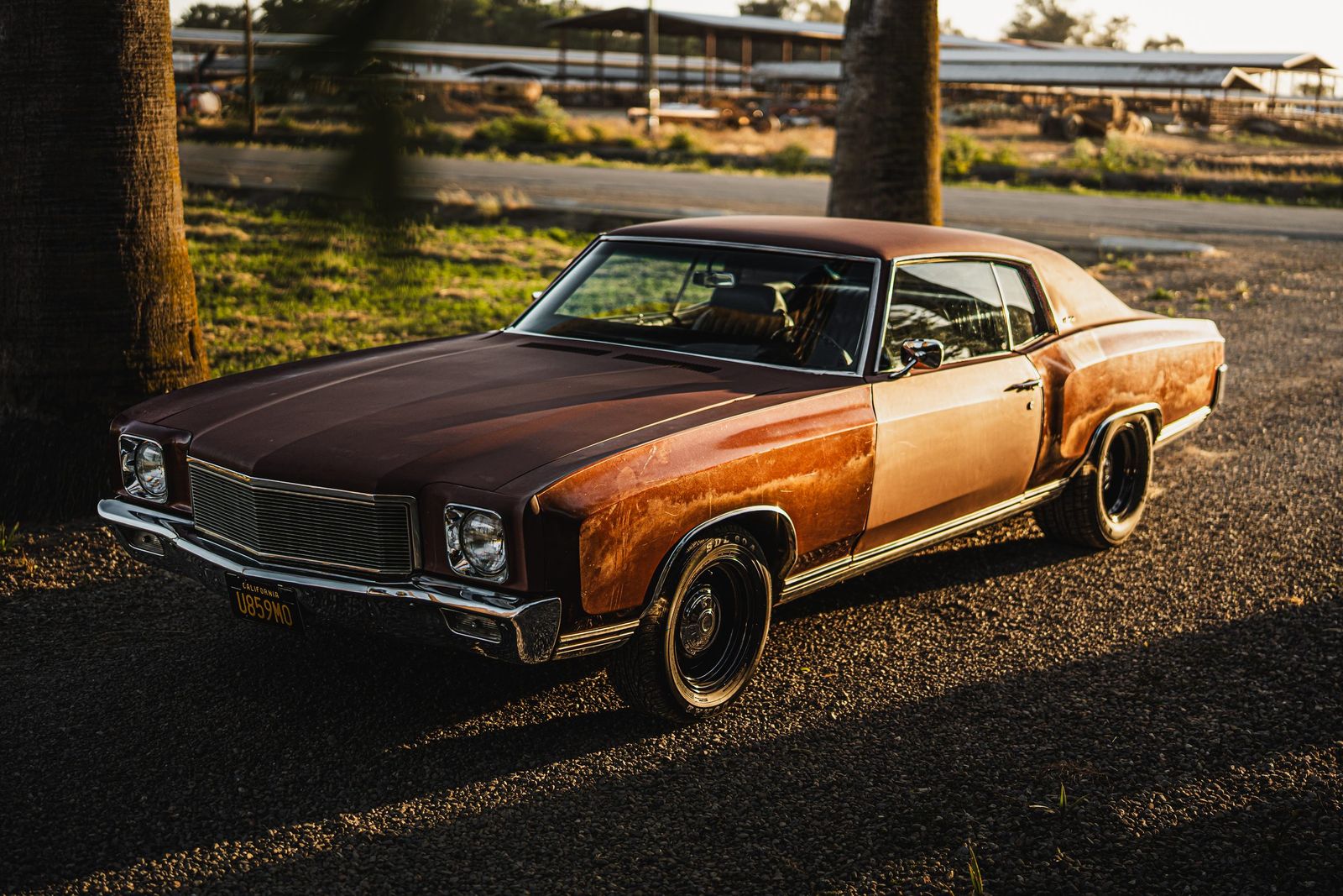 Patina coupe in low sun — Portrait Session