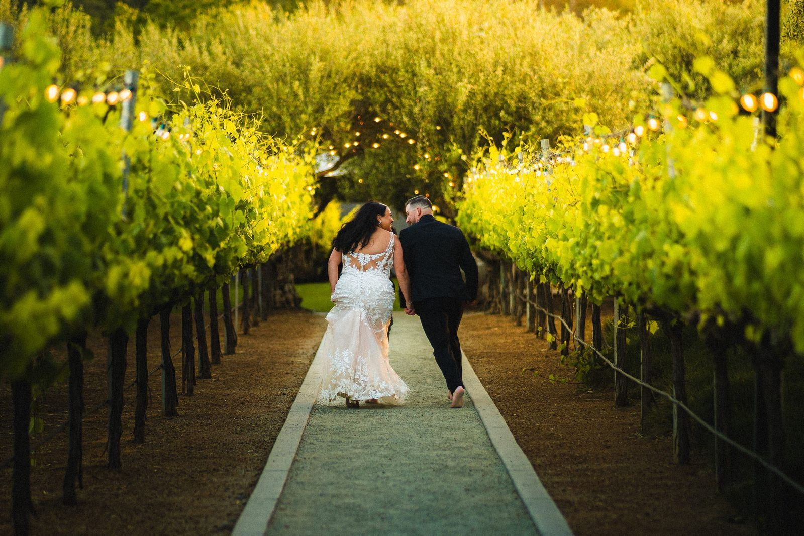 Vineyard aisle under string lights — Weddings & Couples