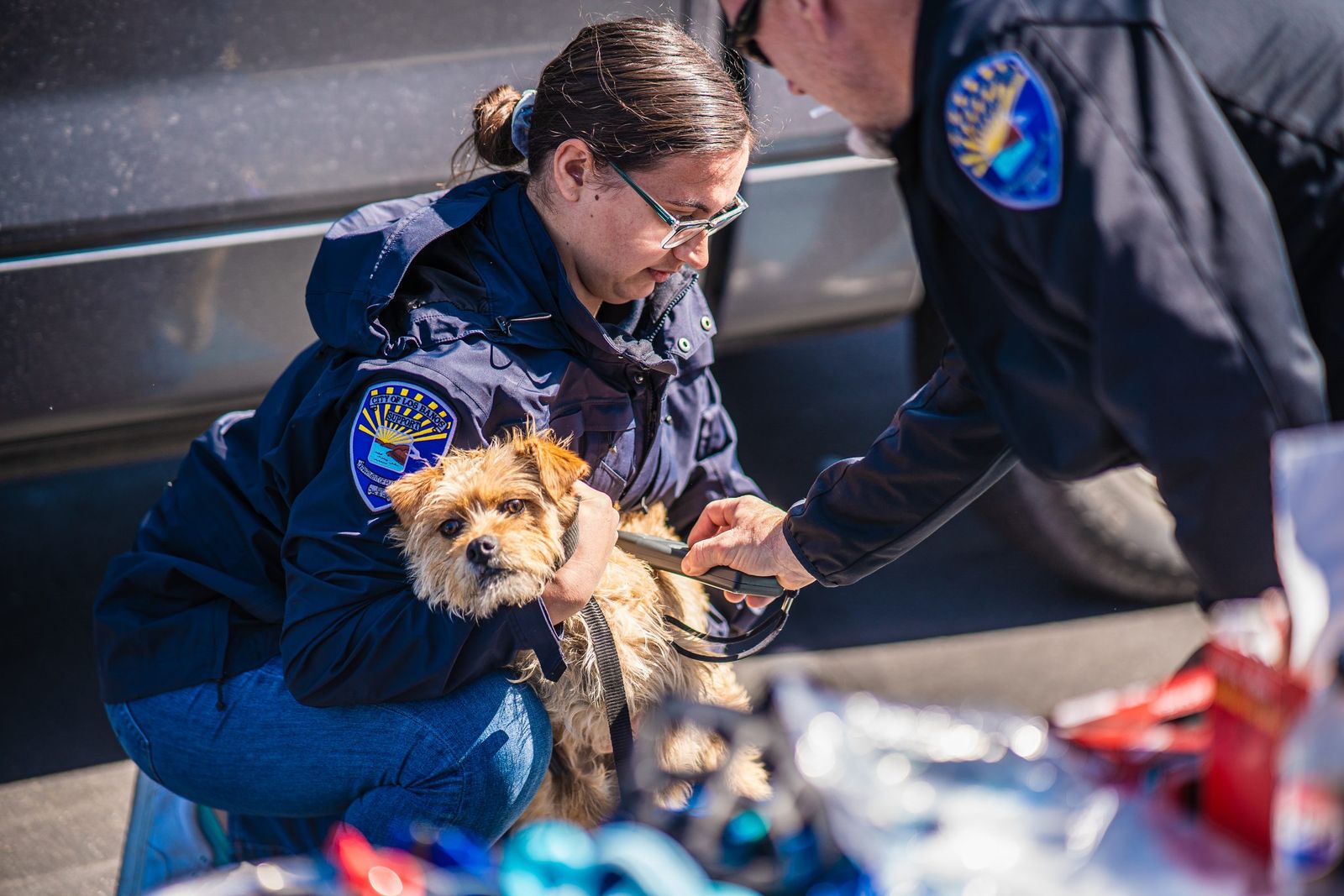 Animal services scanning a dog — Los Banos Police Department
