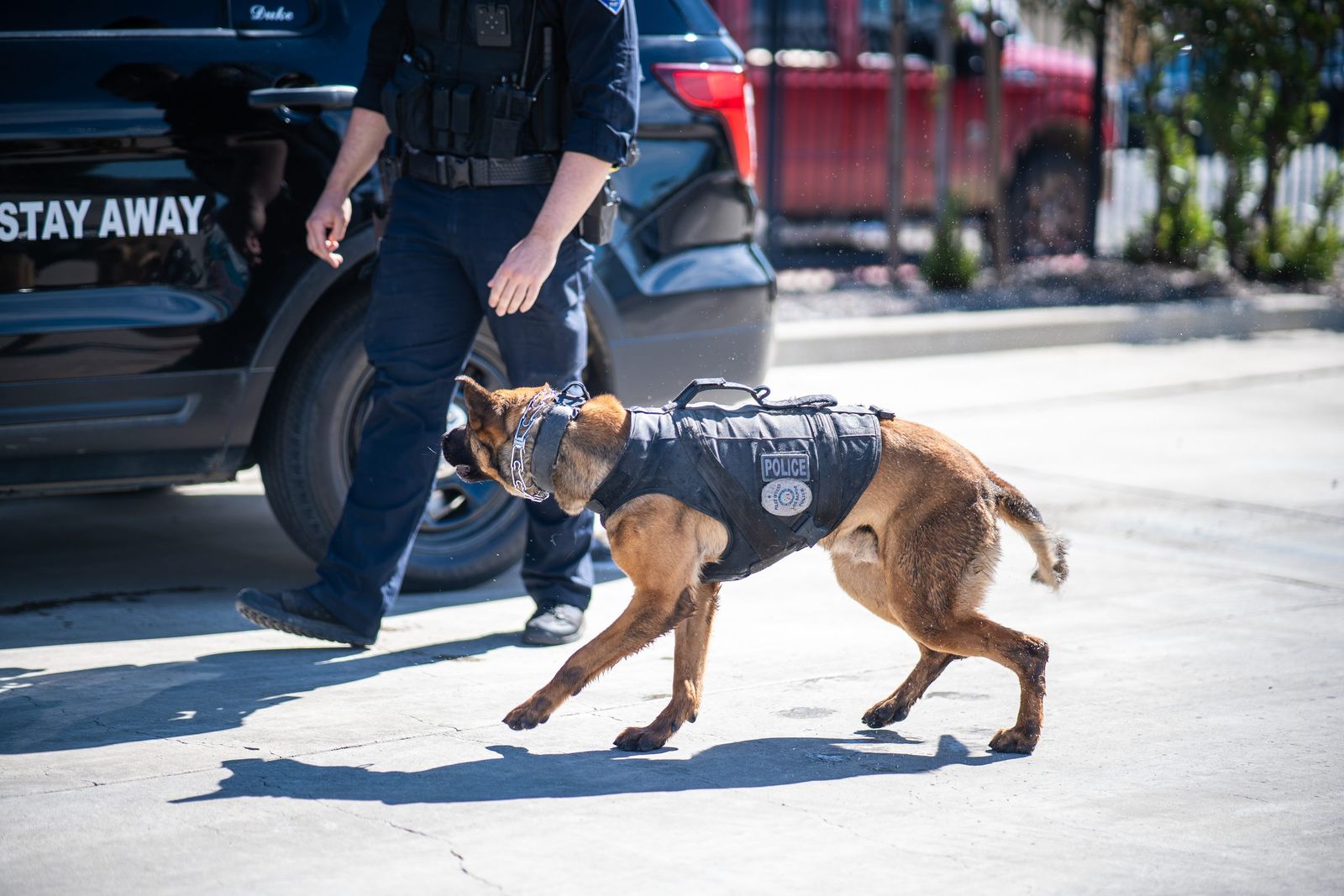 K9 on the move — Los Banos Police Department