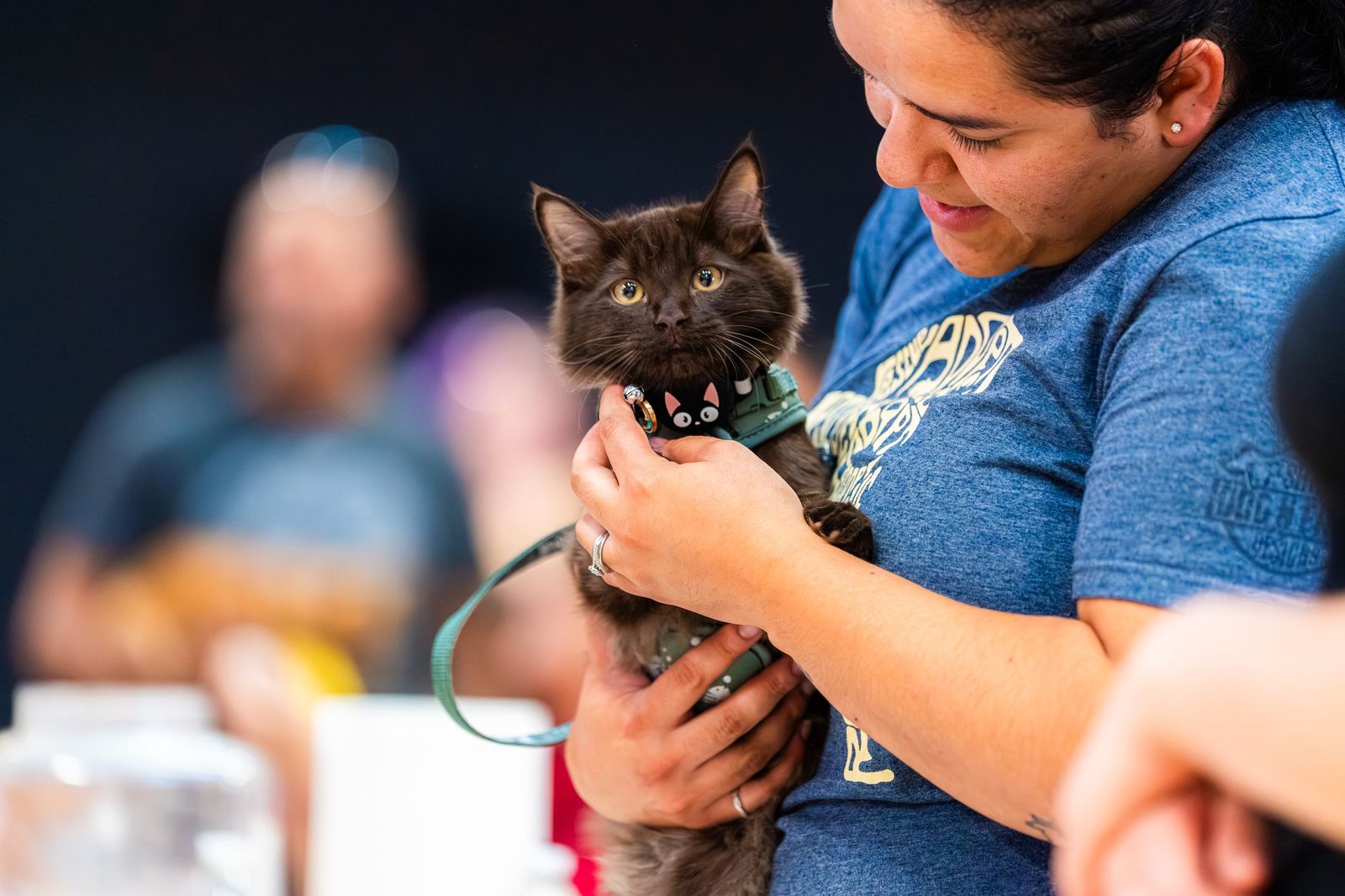 Volunteer with a black kitten — Los Banos Police Department